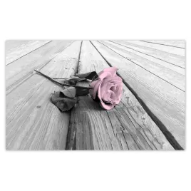 fototapety-520x318-pudrowy-roz-old-pink-rose