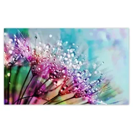 fototapety-520x318-krople-rosy-dmuchawiec