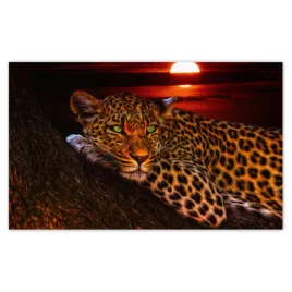 fototapety-520x318-lampart-pantera