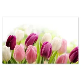 fototapety-520x318-piekne-tulipany