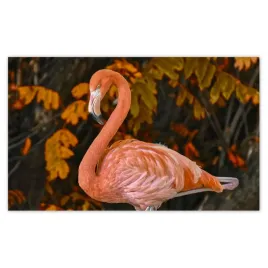 fototapety-520x318-pelikan-w-naturze