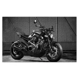 fototapety-520x318-harley-davidson-motocykl