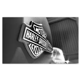 fototapety-520x318-logo-harley-davidson