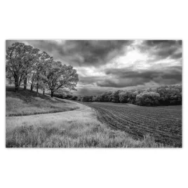 fototapety-520x318-czarno-biale-pole