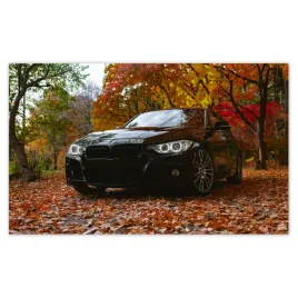 fototapety-520x318-czarne-bmw-jesien