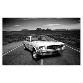 fototapety-520x318-oldschoolowy-ford-mustang