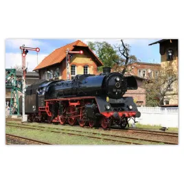 fototapety-520x318-parada-parowozow-wolsztyn