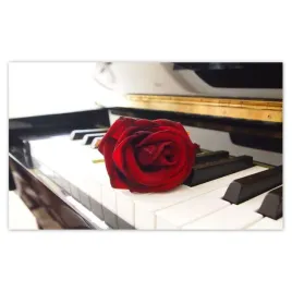 fototapety-416x254-rozna-na-pianinie