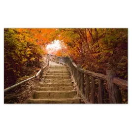 fototapety-416x254-jesienny-spacer-schody