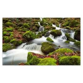 fototapety-416x254-gorski-pejzaz-z-rwacym-potoczkiem-potok-w-gorach