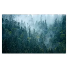 fototapety-520x318-las-we-mgle-podrozowanie
