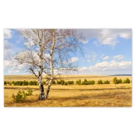 fototapety-520x318-brzoza-na-polu-pejzaz