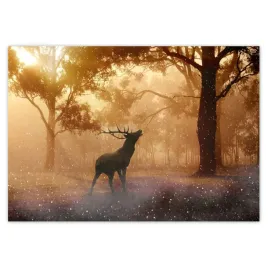 fototapety-416x290-jelen-w-lesie