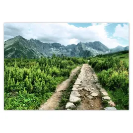 fototapety-416x290-kamienista-droga-tatry