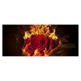 fototapety-250x104-czerwona-plonaca-roza
