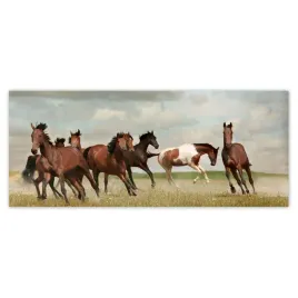 fototapety-250x104-kon-konie-jezdziectwo