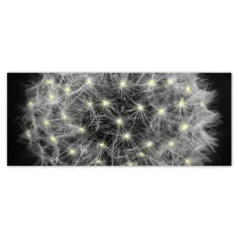 fototapety-250x104-dmuchawiec-kwiat-kwiatki