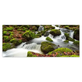 fototapety-250x104-gorski-pejzaz-z-rwacym-potoczkiem-potok-w-gorach