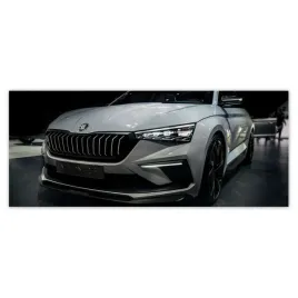 fototapety-250x104-skoda-samochod-auto