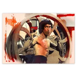 fototapety-416x290-bruce-lee-kungfu