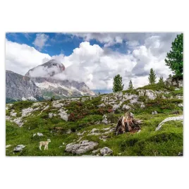 fototapety-416x290-owieczka-w-gorach-widok