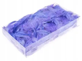 piorka-w-pudeleczku-do-dekoracji-wrzosowe