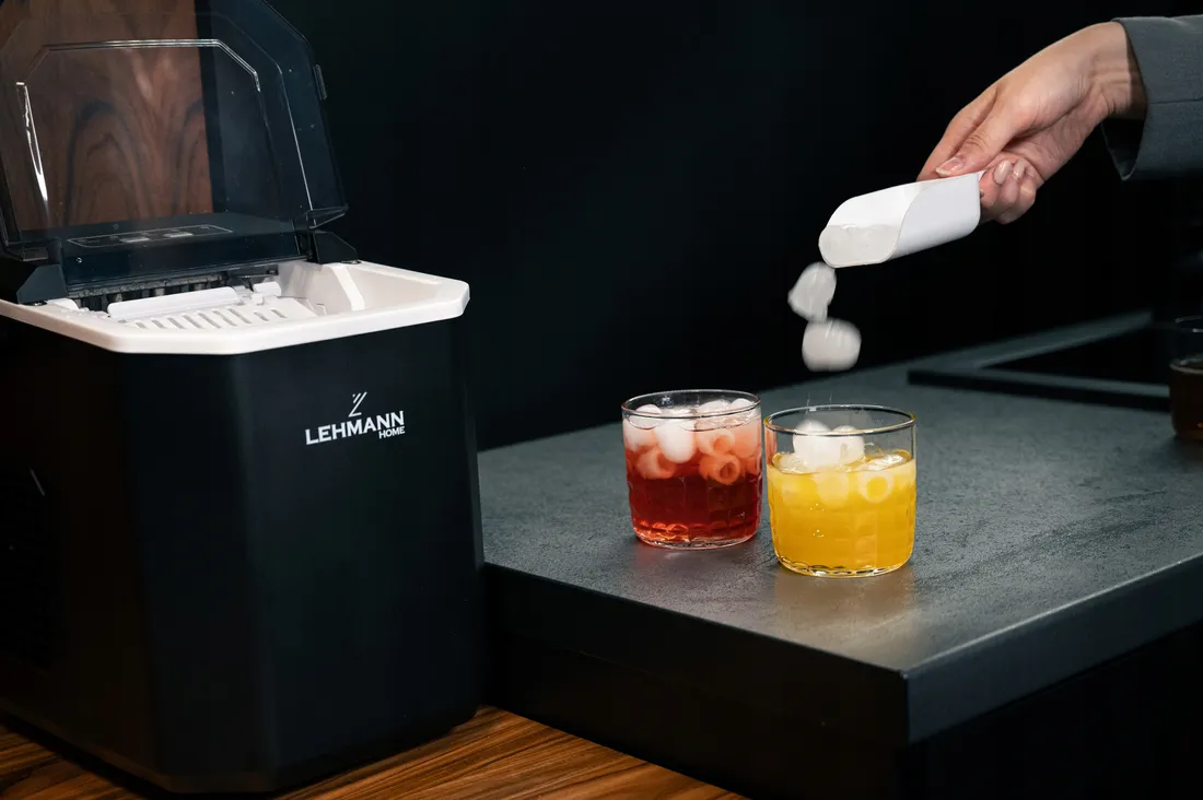 kostkarka-do-lodu-lehmann-frosty