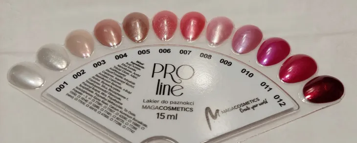 maga-lakier-proline-010-marka-maga