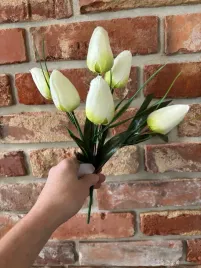 bukiet-tulipan-6-lodyg-32-cm-limonkowy