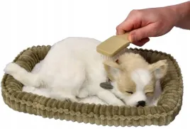 chrapiacy-szczeniaczek-chihuahua