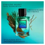 david-beckham-true-instinct-edp-50ml-rodzaj-woda-perfumowana