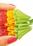origami-3d-kameleon-chameleon-alex-wiek-dziecka-8-lat