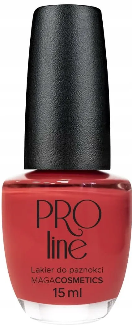 maga-lakier-pro-line-040
