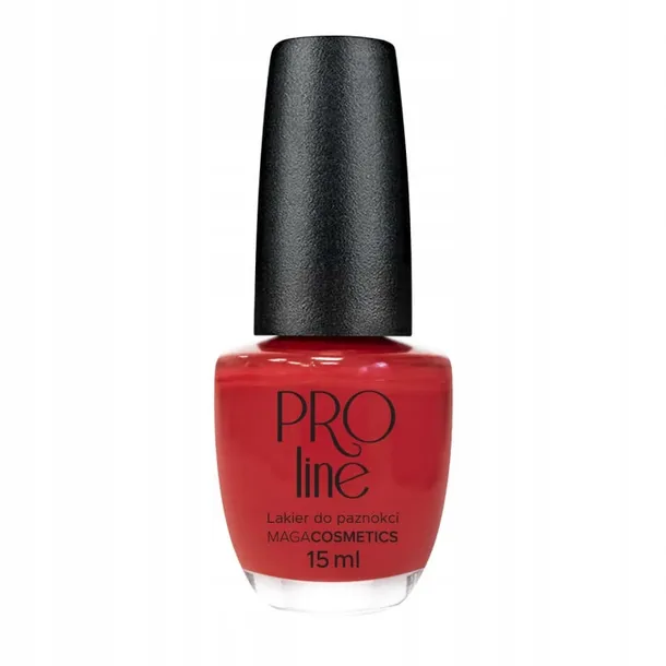 maga-lakier-pro-line-041