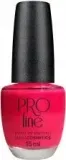 maga-lakier-pro-line-033