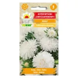 aster-wysoki-chryzantemowy-bialy-1g