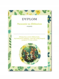 dyplom-pasowania-na-zlobkowicza-w-zlobku-a4-sztywny-papier