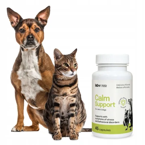 lab-v-calm-support-na-stres-45-kapsulek-rodzaj-suplementy