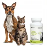 lab-v-calm-support-na-stres-45-kapsulek-rodzaj-suplementy