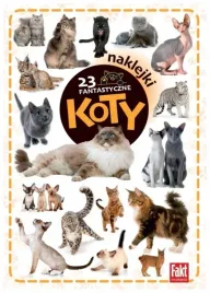 23-fantastyczne-koty-praca-zbiorowa