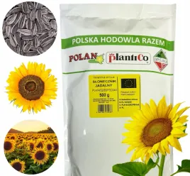 slonecznik-jadalny-zwyczajny-nasiona-duze-opakowanie-500g