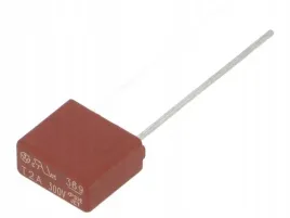 bezpiecznik-zwloczny-2a-300vac-te5-369
