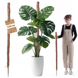 podpora-do-roslin-kwiatow-120cm-palik-kokosowy-45-tyczka-palka-do-monstery