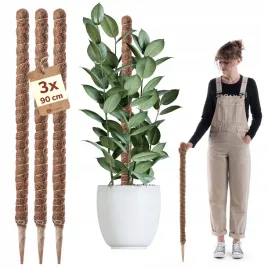 3-szt-palik-kokosowy-podpora-do-roslin-tyczka-90-cm-monstery-kwiatow-palka