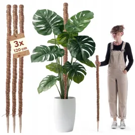 3x-podpora-do-roslin-kwiatow-120cm-palik-kokosowy-45-tyczka-palka-monstery