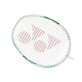 astrox-01-kod-producenta-ast01flwm