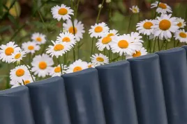 palisada-ogrodowa-plotek-obrzeze-248-cm-border-antracyt