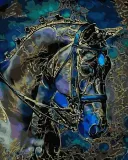 malowanie-po-numerach-czarne-plotno-krolewski