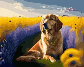 malowanie-po-numerach-zlota-farba-zloty-pies