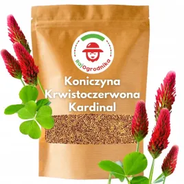 koniczyna-krwistoczerwona-500g-idealna-dla-pszczol-na-poplon-miododajna